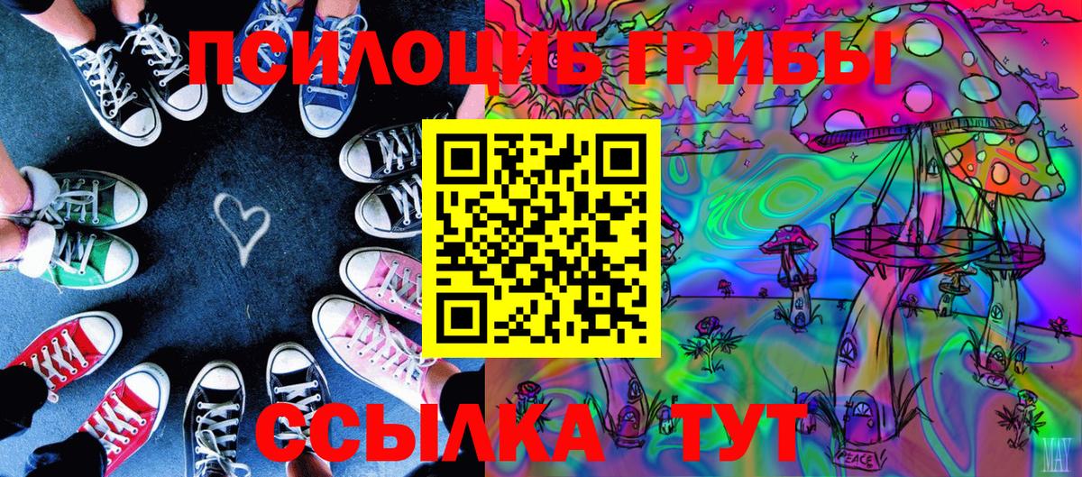 как найти   Вход с VPN  Куйбышев  Псилоцибиновые грибы Cubensis  Галлюциногенные грибы прущие грибы 